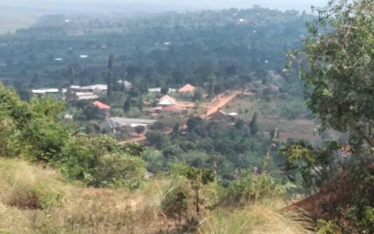 Prime Hilltop Land for Sale in Mpigi Kalagala – 5 Acres Titled, UGX 100M Per Acre (Negotiable)
