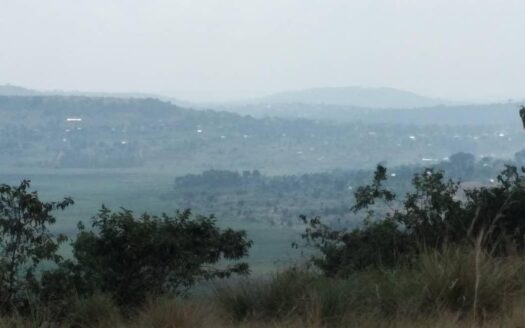 Prime Hilltop Land for Sale in Mpigi Kalagala – 5 Acres Titled, UGX 100M Per Acre (Negotiable)