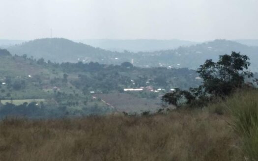 Prime Hilltop Land for Sale in Mpigi Kalagala – 5 Acres Titled, UGX 100M Per Acre (Negotiable)